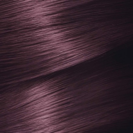 Permanent Dye Garnier Nutrisse Cassis Nº 4,26 2