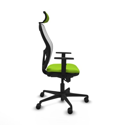 Chaise de Bureau Piqueras y Crespo 1D036N2 Pistache 2