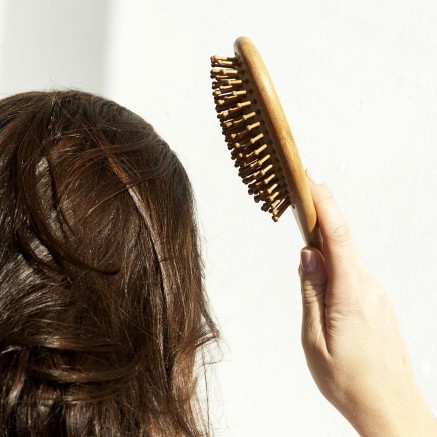 Brosse Démêlante The Organic Republic 2
