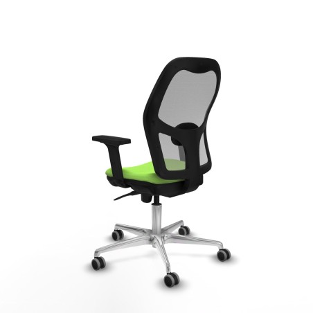 Bürostuhl Piqueras y Crespo 2D086G0 Pistazienfarben