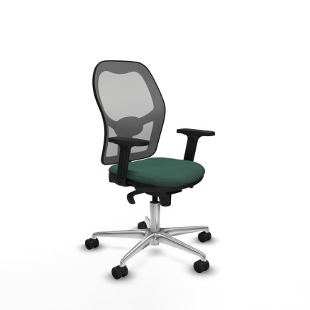 Chaise de jeu Piqueras y Crespo 2D086N0 Vert