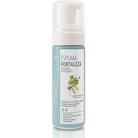 Volumegevend Foam Clearé Institute Anti-val Fixer 150 ml