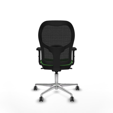 Chaise de jeu Piqueras y Crespo 2D086G0 Vert