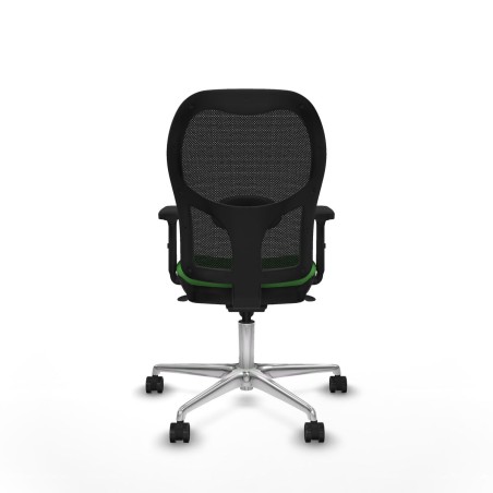 Chaise de jeu Piqueras y Crespo 2D086N0 Vert