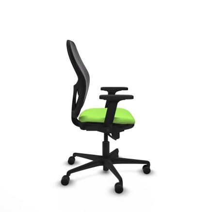 Chaise de jeu Piqueras y Crespo 2D036N0 Pistache 2