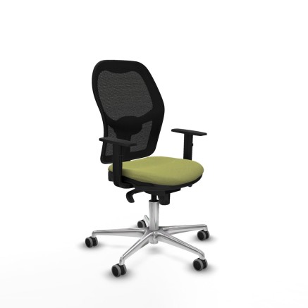 Chaise de Bureau Piqueras y Crespo 1D086G0 Vert