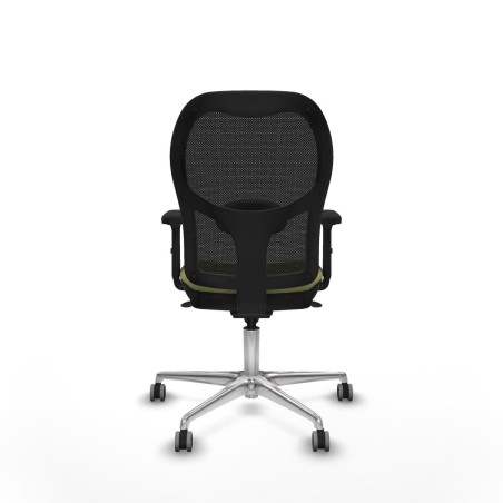 Chaise de jeu Piqueras y Crespo 2D086G0 Vert