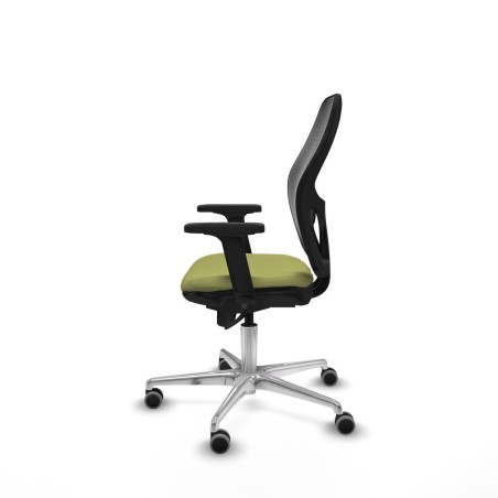 Chaise de jeu Piqueras y Crespo 2D086G0 Vert