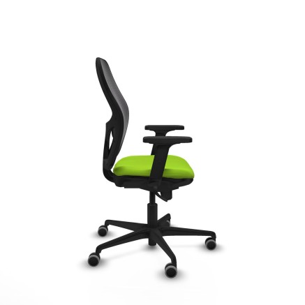 Chaise de jeu Piqueras y Crespo 2D036G0 Pistache 2