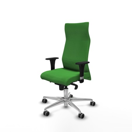 Chaise de Bureau Piqueras y Crespo B1C086G Vert