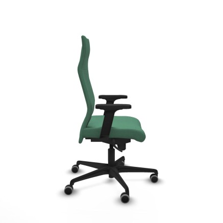 Chaise de Bureau Albacete Piqueras y Crespo B2D036G Vert émeraude 2