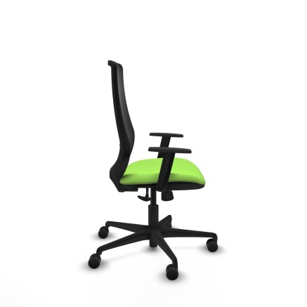 Chaise de Bureau Piqueras y Crespo D036N0W Pistache 2