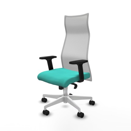 Chaise de Bureau Piqueras y Crespo B2D026N Turquoise