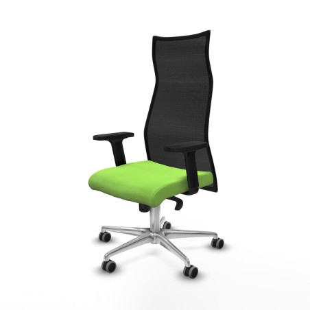Office Chair Piqueras y Crespo B2D086G Pistachio
