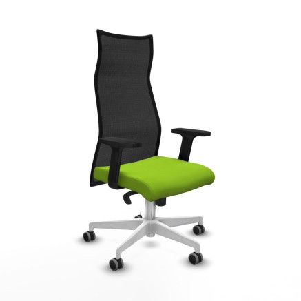 Sedia da Ufficio Piqueras y Crespo B2D026G Pistacchio