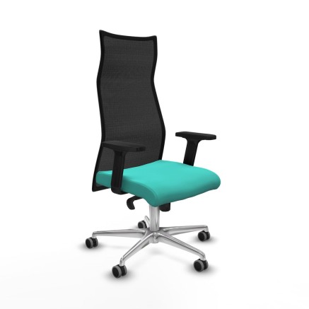 Bürostuhl Piqueras y Crespo B2D086G türkis