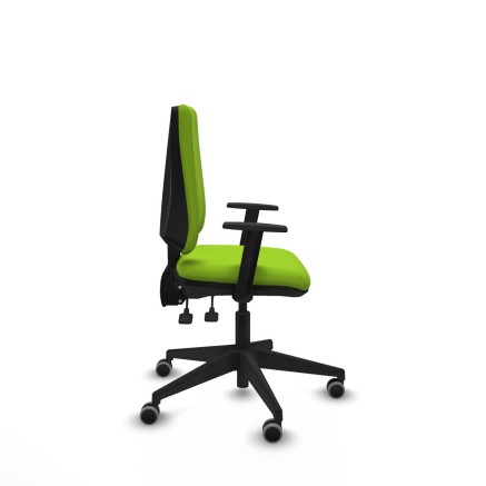 Chaise de Bureau Elche AS Piqueras y Crespo B1D066G Pistache 2