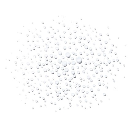 Brume pour le Visage Institut Esthederm Eau Cellulaire 200 ml 2