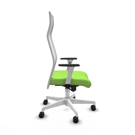 Sedia da Ufficio Piqueras y Crespo B1B026N Pistacchio 2