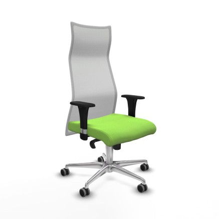 Office Chair Piqueras y Crespo B1C086G Pistachio
