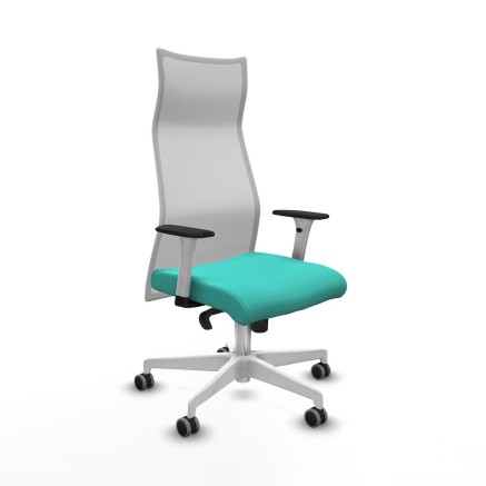 Chaise de Bureau Piqueras y Crespo B1B026G Turquoise