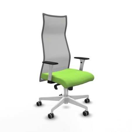 Sedia da Ufficio Albacete Piqueras y Crespo B1B026G Pistacchio