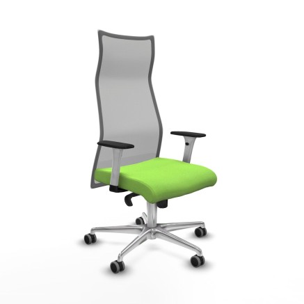 Sedia da Ufficio Albacete Piqueras y Crespo B1B086G Pistacchio