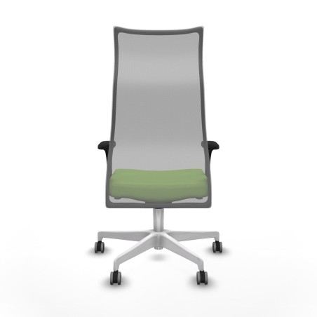 Chaise de Bureau Albacete Piqueras y Crespo B1C026G Pistache
