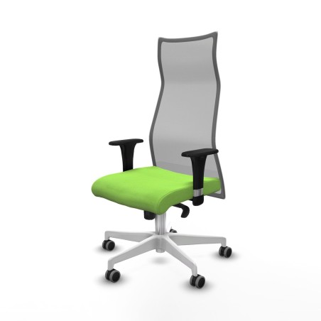 Chaise de Bureau Albacete Piqueras y Crespo B1C026G Pistache