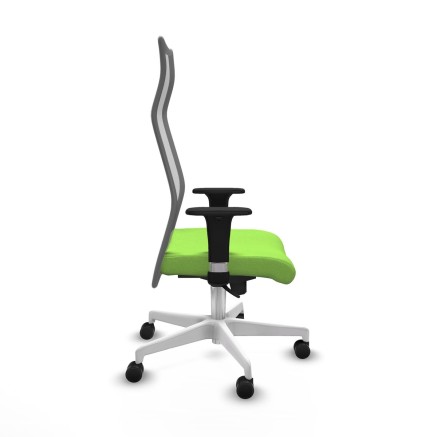 Sedia da Ufficio Albacete Piqueras y Crespo B1C026N Pistacchio 2