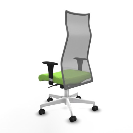 Chaise de Bureau Albacete Piqueras y Crespo B1C026N Pistache