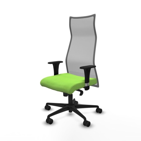 Office Chair Albacete Piqueras y Crespo B1C036N Pistachio