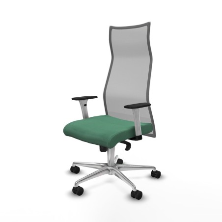 Chaise de Bureau Albacete Piqueras y Crespo B1B086N Vert émeraude