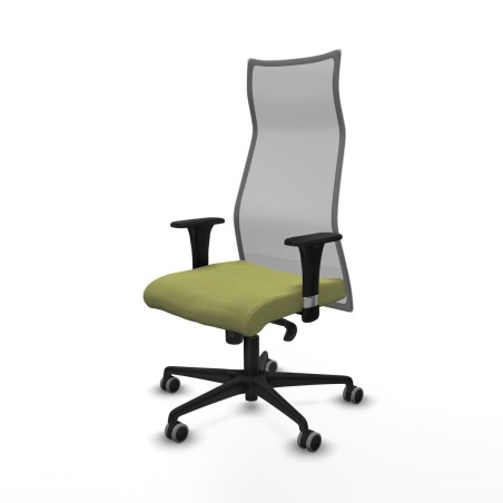 Chaise de Bureau Albacete Piqueras y Crespo B1C036G Vert