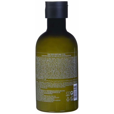 Après-shampooing The Body Shop Ginger 250 ml 2