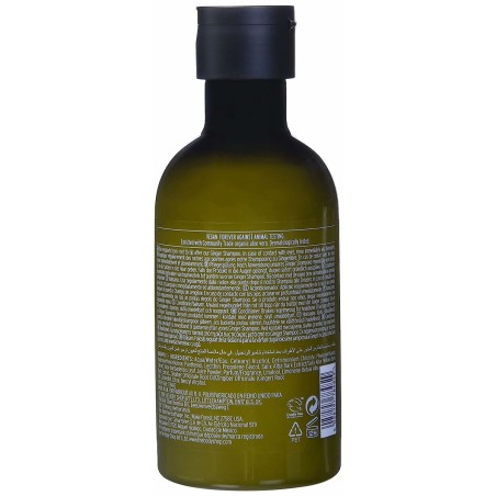 Conditioner The Body Shop Ginger 250 ml