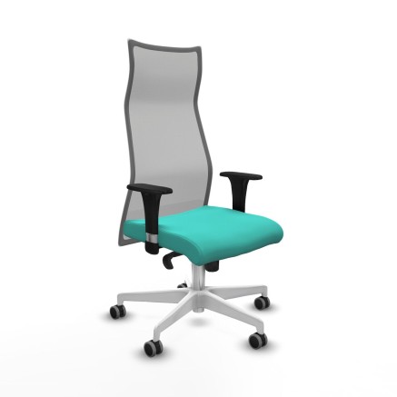 Chaise de Bureau Albacete Piqueras y Crespo B1C026G Turquoise