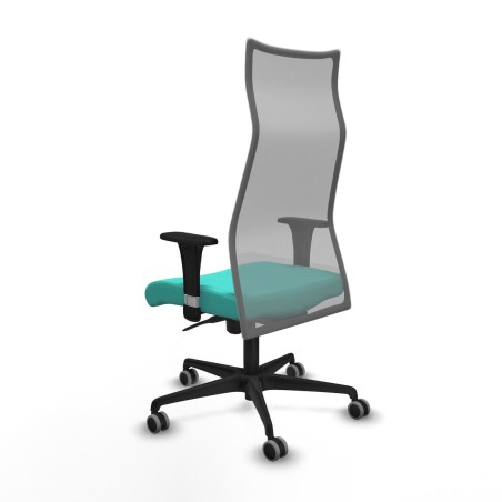 Chaise de Bureau Albacete Piqueras y Crespo B1C036G Turquoise