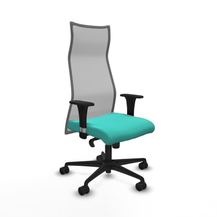 Chaise de Bureau Albacete Piqueras y Crespo B1C036N Turquoise
