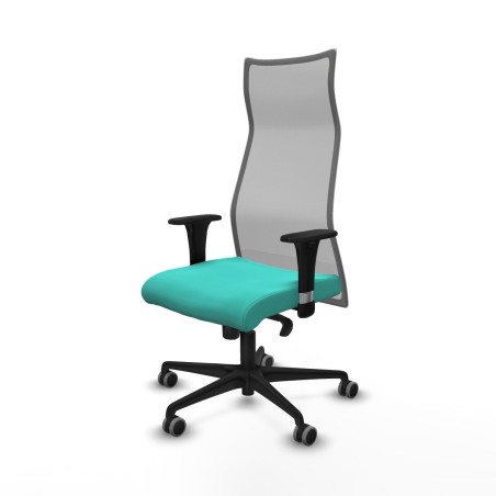Chaise de Bureau Albacete Piqueras y Crespo B1C036G Turquoise