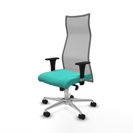 Chaise de Bureau Albacete Piqueras y Crespo B1C086N Turquoise