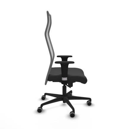 Sedia da Ufficio Albacete Piqueras y Crespo B1C036G Grigio scuro 2