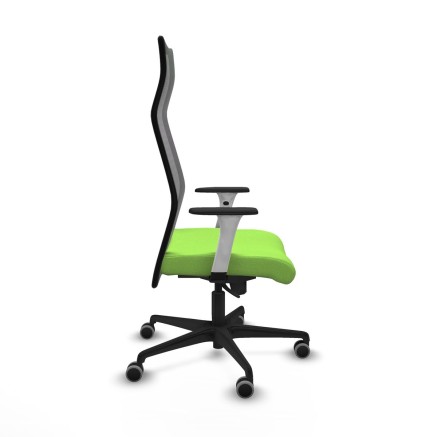 Sedia da Ufficio Albacete Piqueras y Crespo B1B036G Pistacchio 2