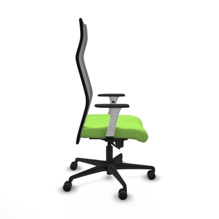 Sedia da Ufficio Albacete Piqueras y Crespo B1B036N Pistacchio 2