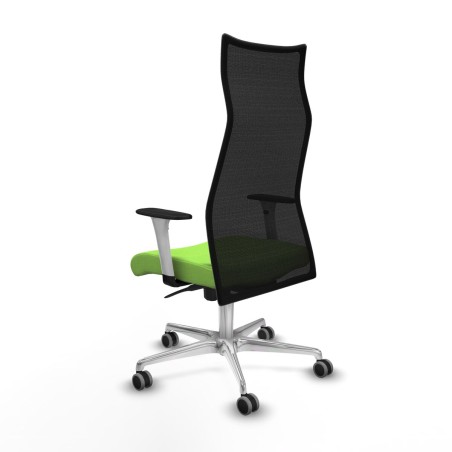 Office Chair Albacete Piqueras y Crespo B1B086G Pistachio
