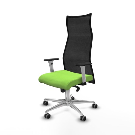 Sedia da Ufficio Albacete Piqueras y Crespo B1B086G Pistacchio