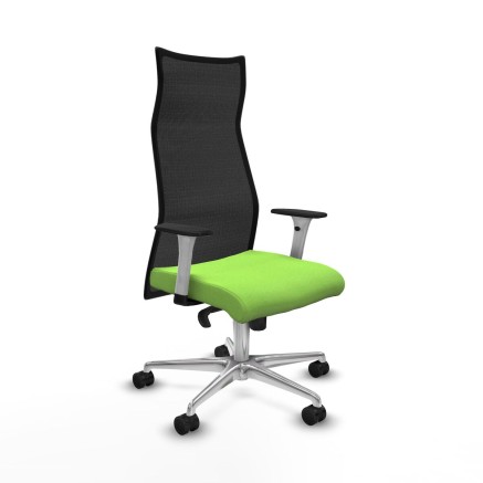 Chaise de Bureau Albacete Piqueras y Crespo B1B086N Pistache