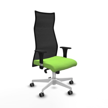 Chaise de Bureau Albacete Piqueras y Crespo B1C026G Pistache
