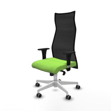 Chaise de Bureau Albacete Piqueras y Crespo B1C026G Pistache 2