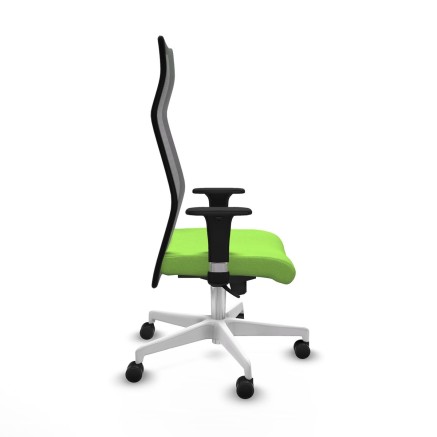 Office Chair Albacete Piqueras y Crespo B1C026N Pistachio 2